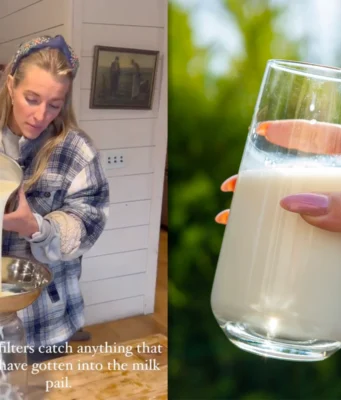 Что инцидент с сырым молоком на ферме Ballerina говорит о культуре здоровья сегодня